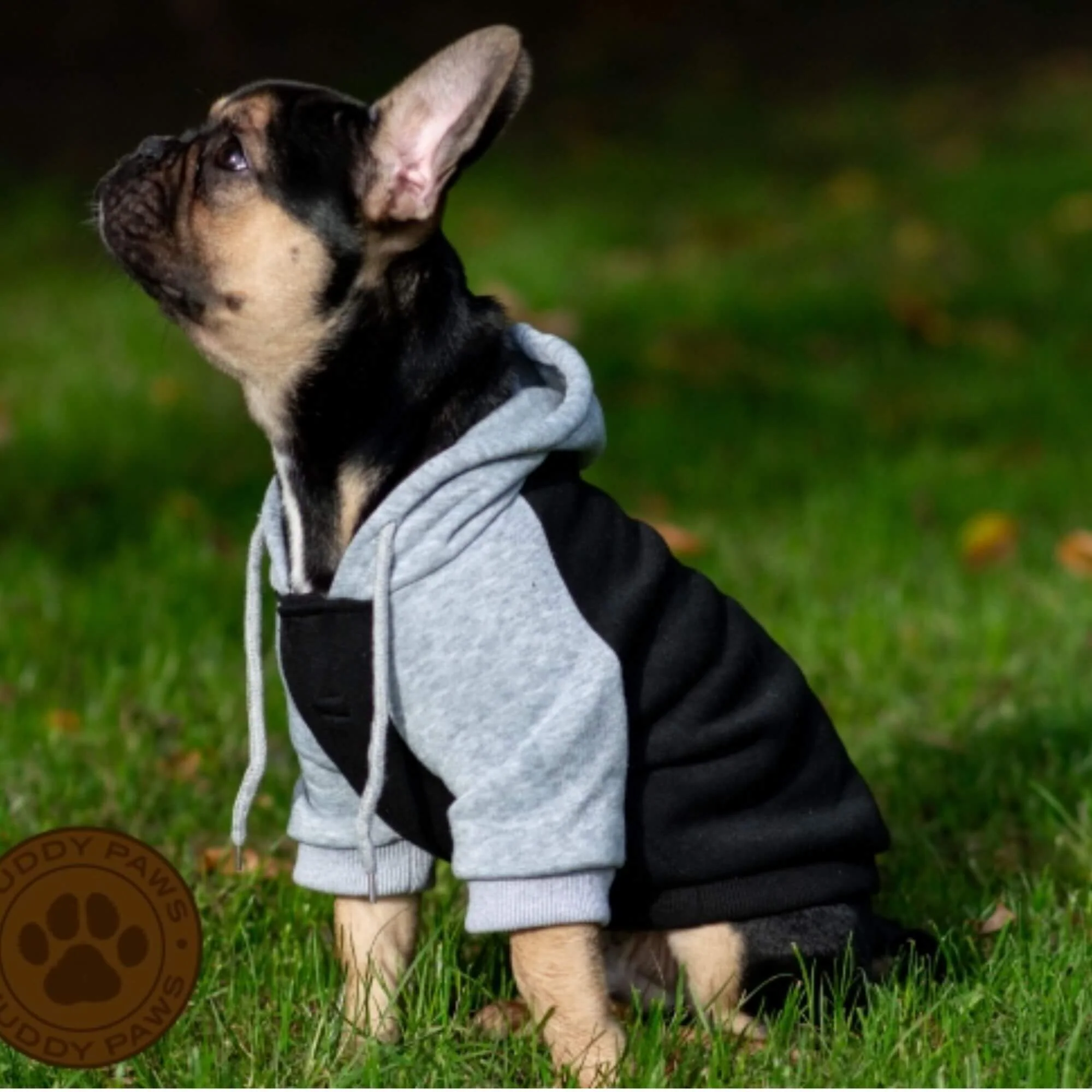 Ancol Muddy Paws Black & Grey Dog Jumper - Image 3