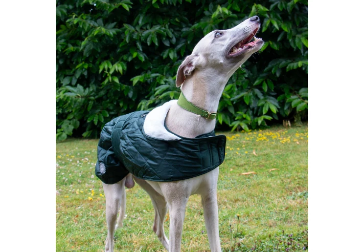 Ancol Muddy Paws Quilted Green Hound Coat - Image 3