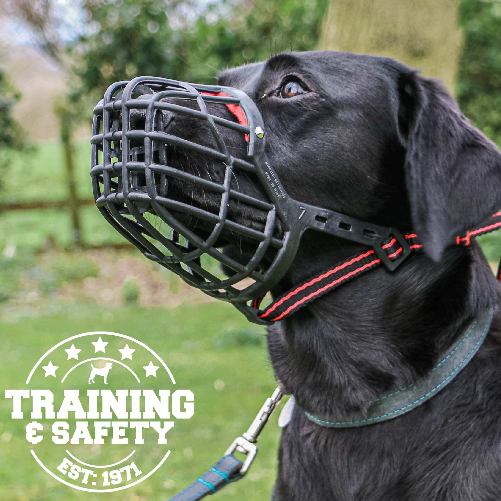 Ancol Plastic Dog Muzzle - Image 3