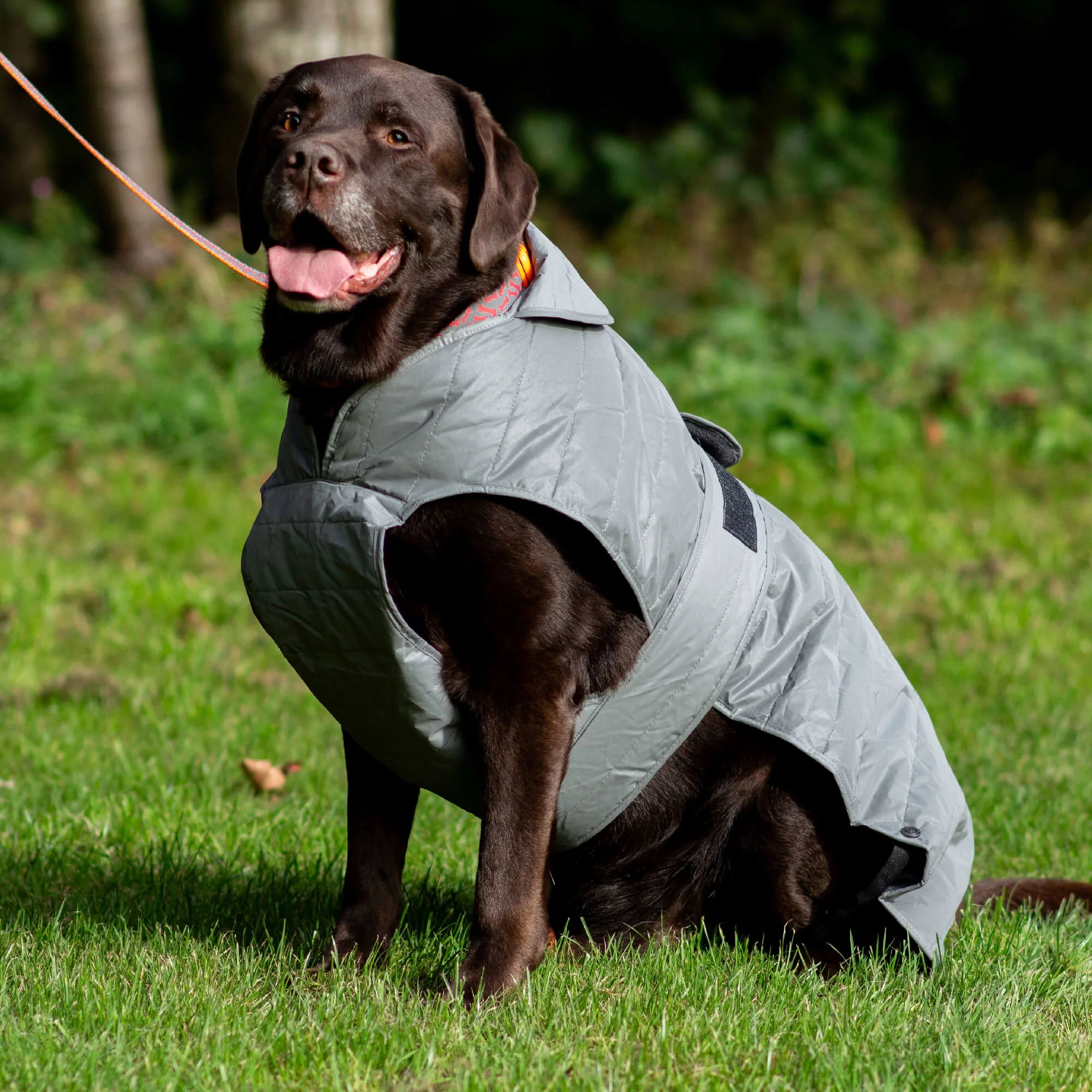 Ancol Stormguard Ultimate Reflective Dog Coat - Image 3