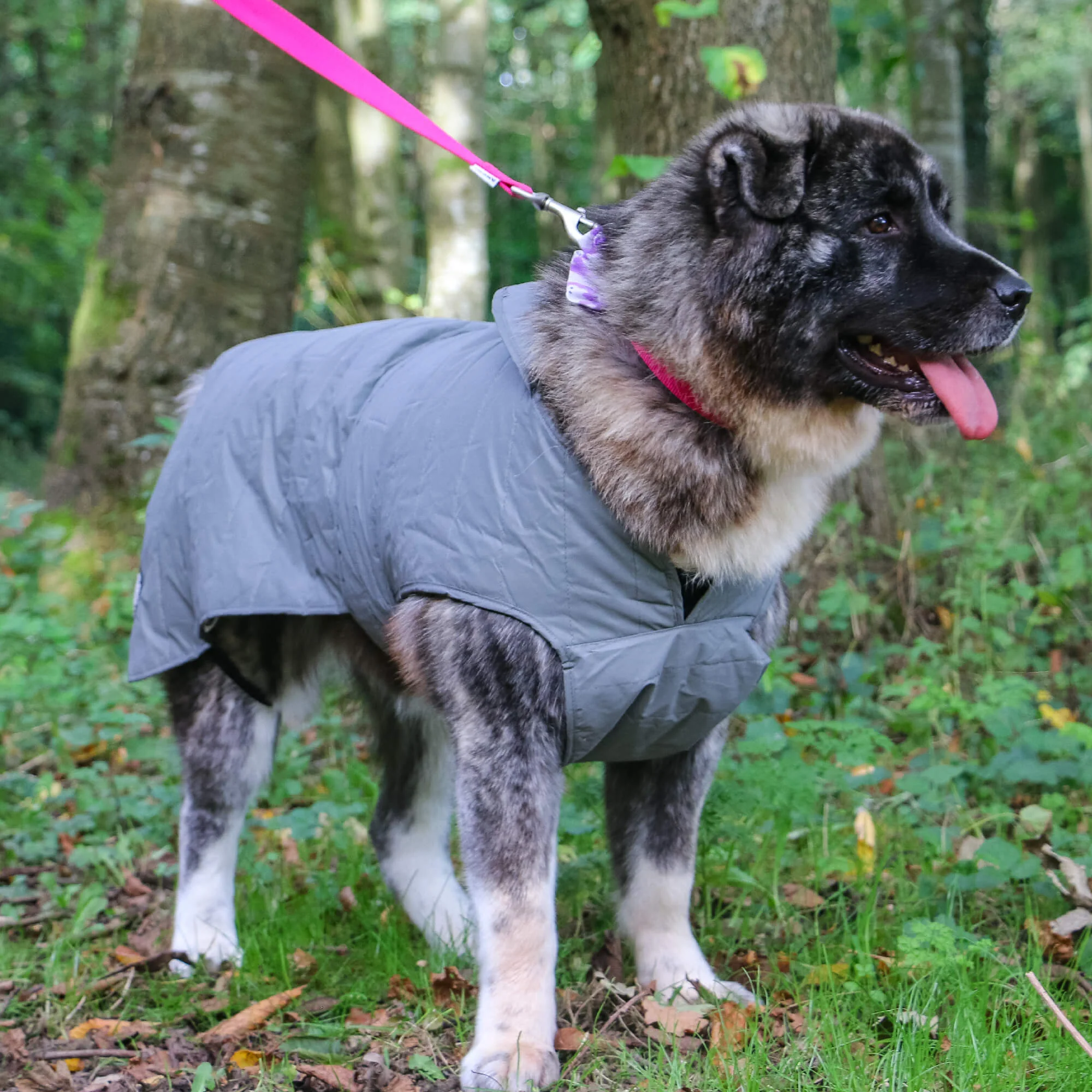 Ancol Stormguard Ultimate Reflective Dog Coat - Image 5