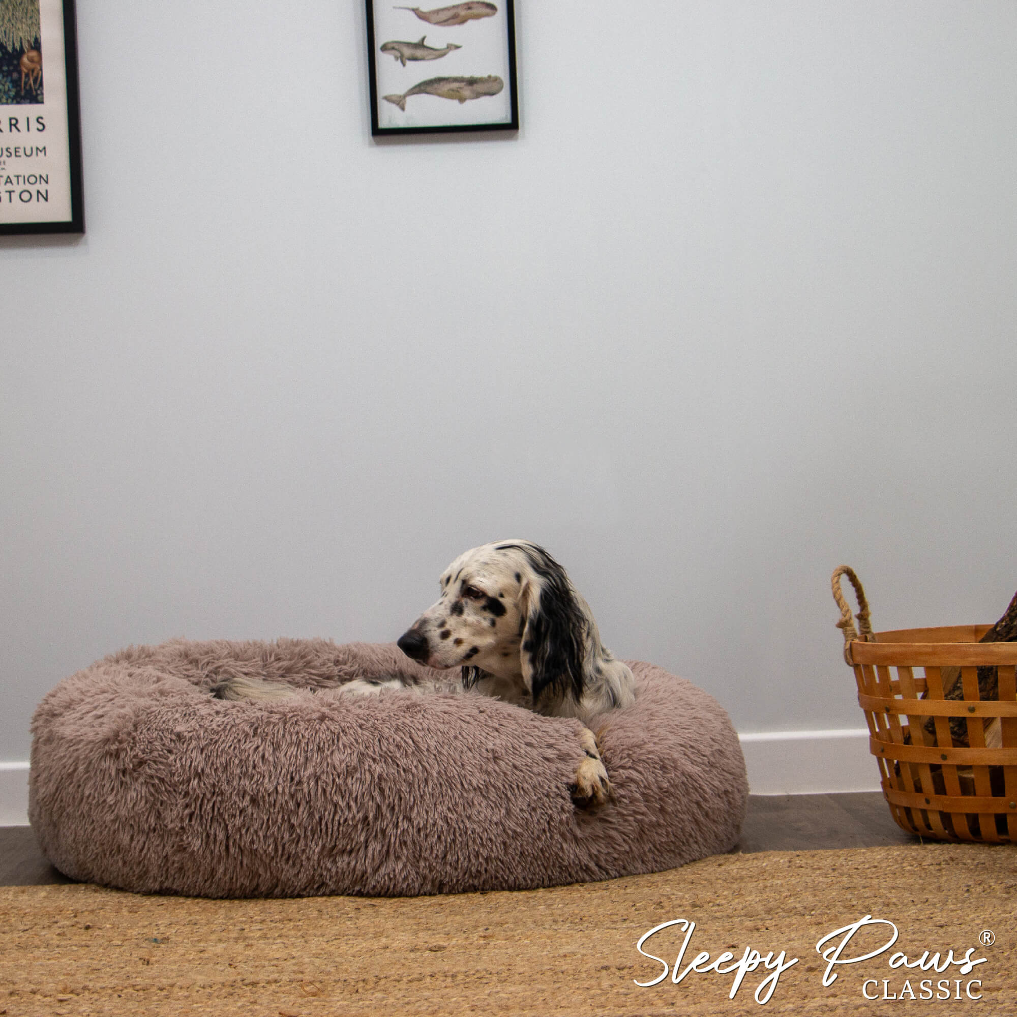 Ancol Super Soft Calming Dog Donut Bed - Image 3