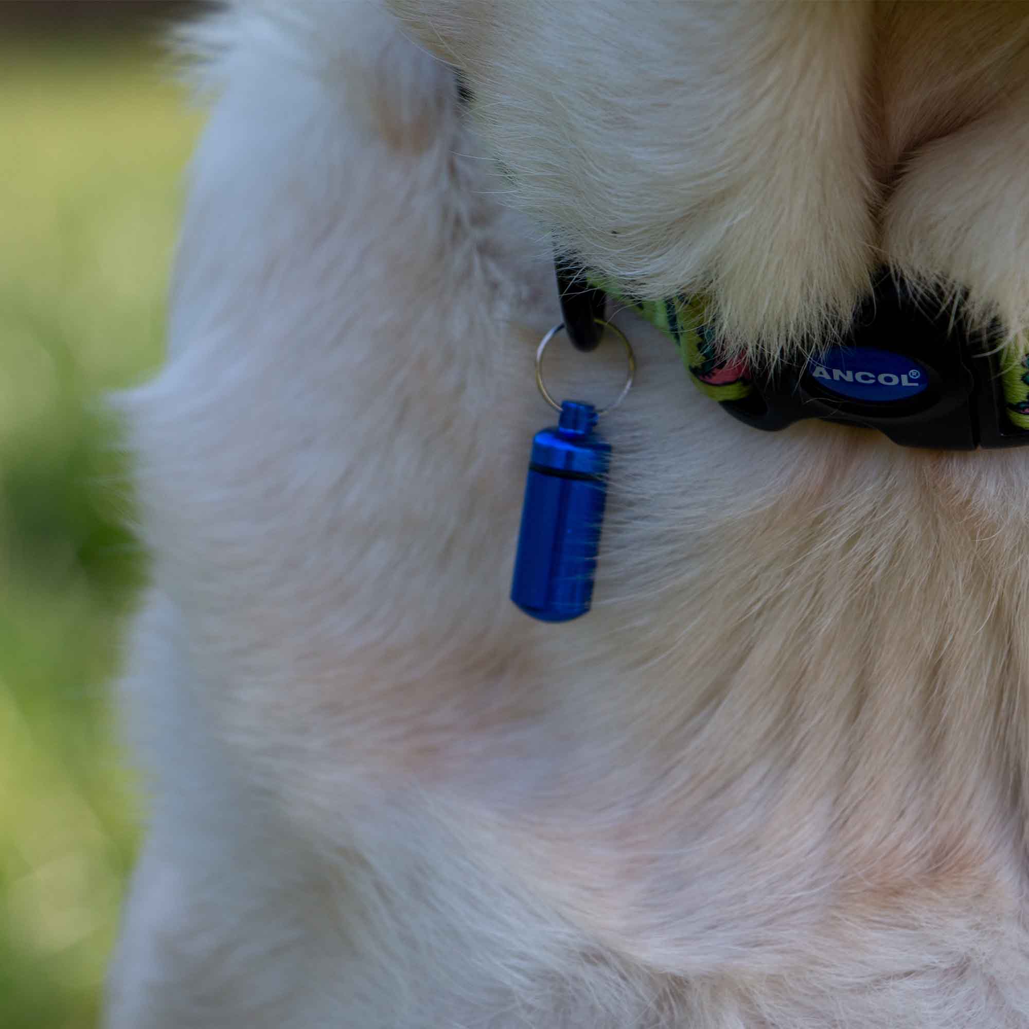 Ancol Aluminium Dog ID Tube – Lightweight Collar ID Tag for Dogs x 12 - Image 4