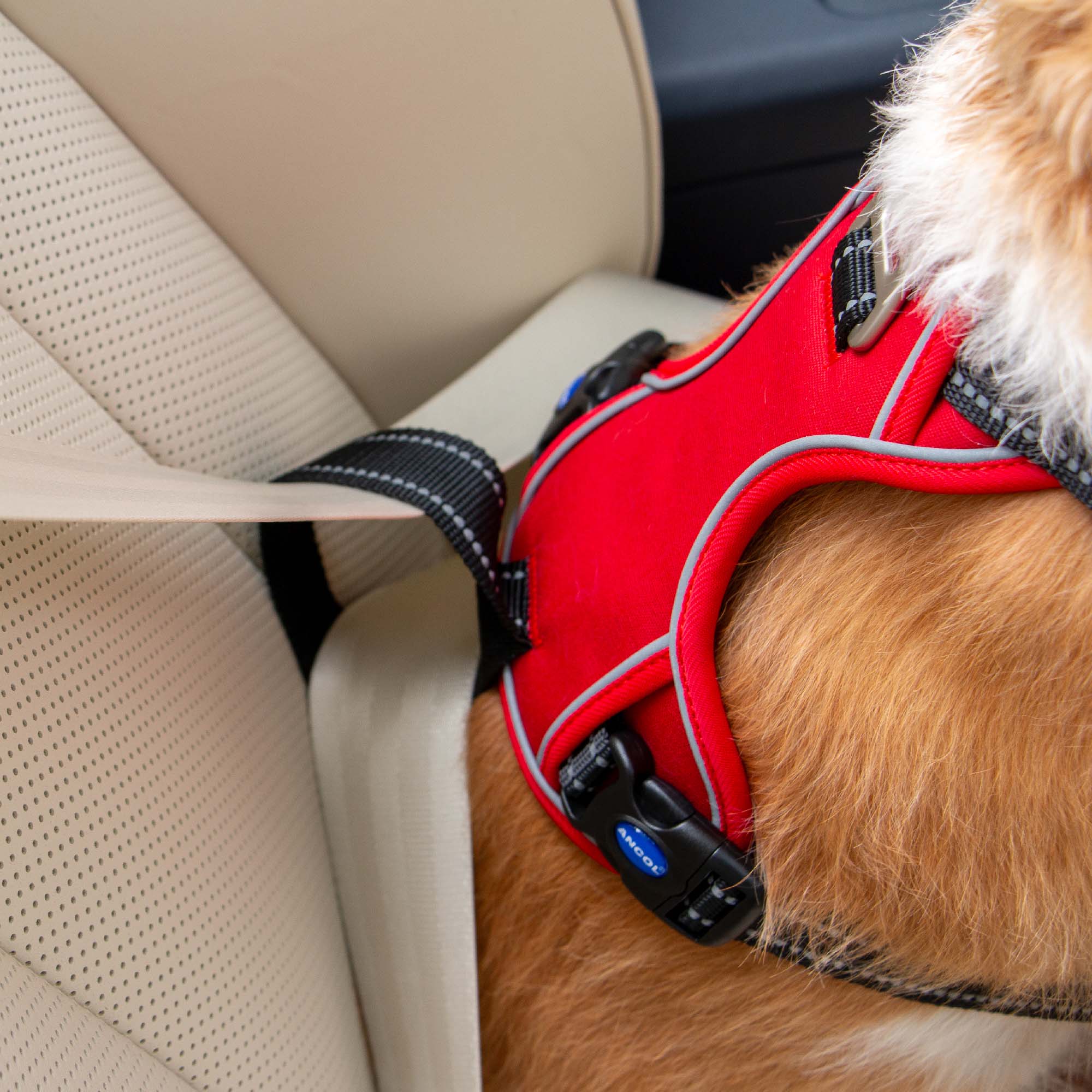Ancol Viva Exercise & Travel Dog Harness - Image 9