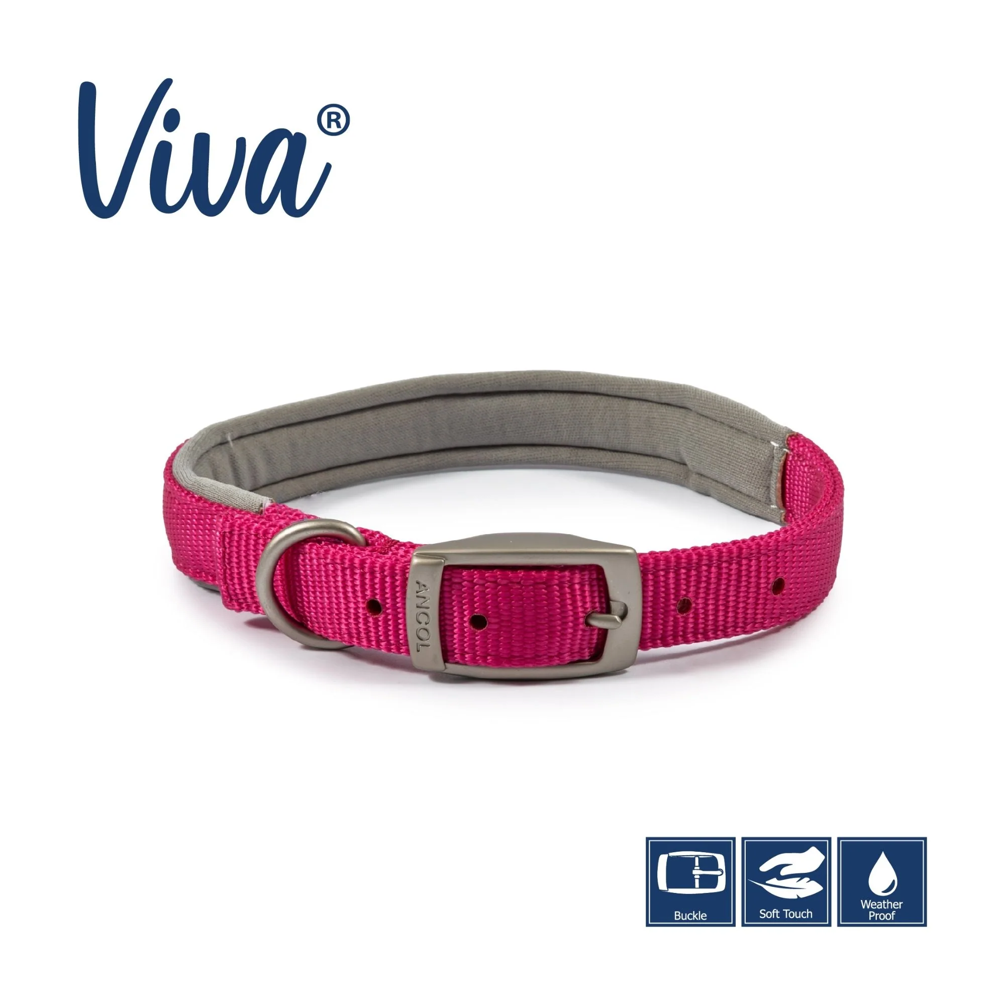 Ancol Viva Padded Buckle Dog Collar - Image 3