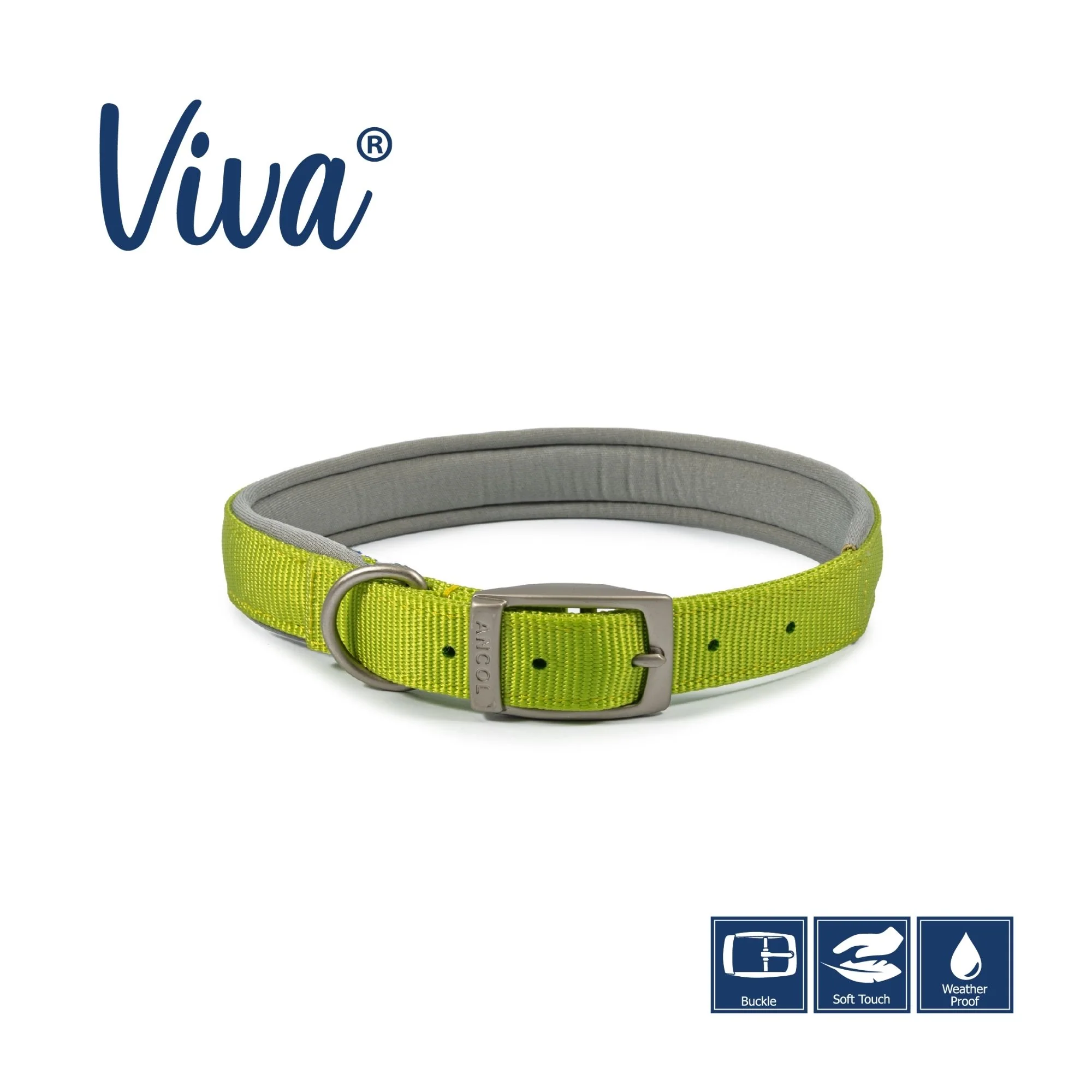 Ancol Viva Padded Buckle Dog Collar - Image 4