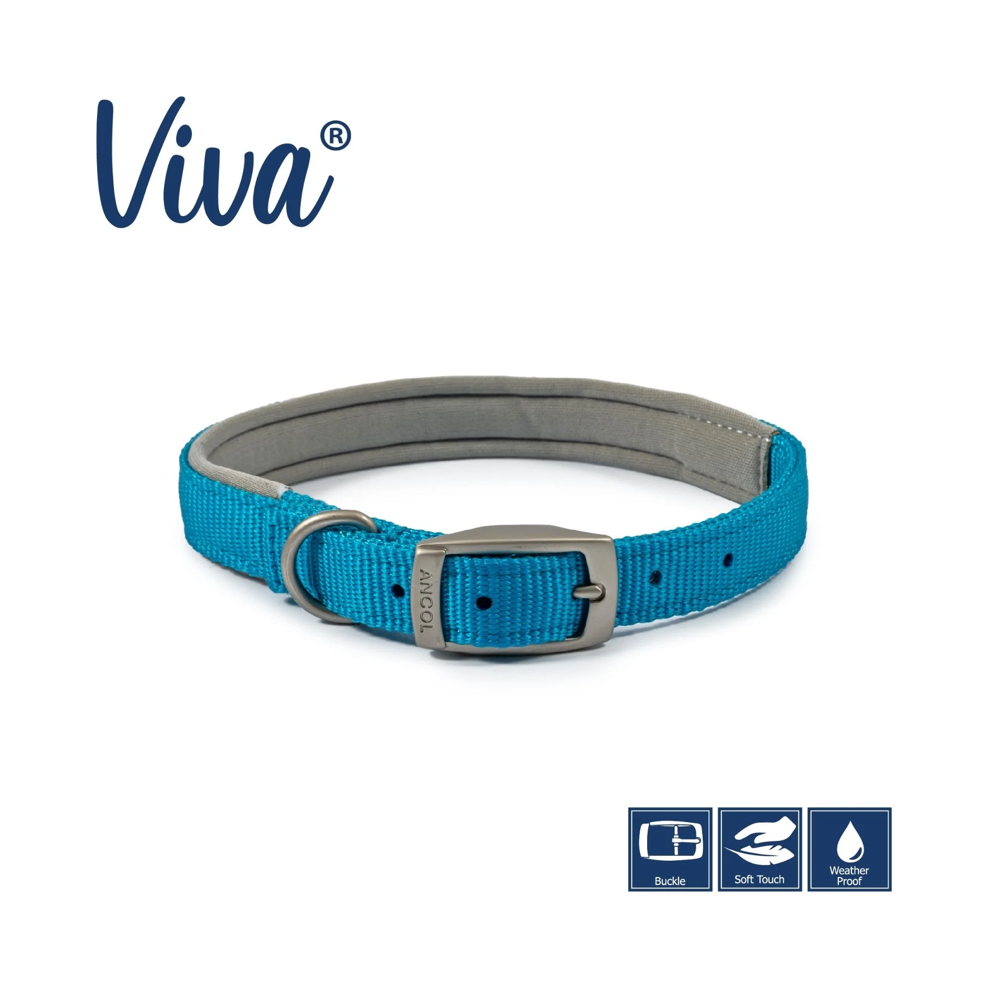 Ancol Viva Padded Buckle Dog Collar - Image 5