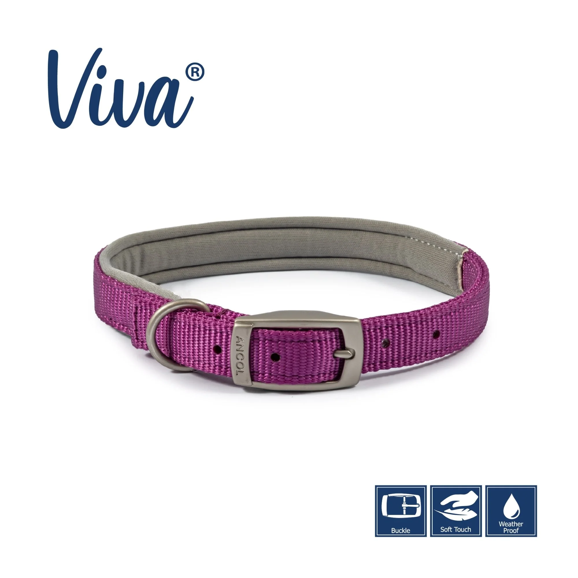Ancol Viva Padded Buckle Dog Collar - Image 6