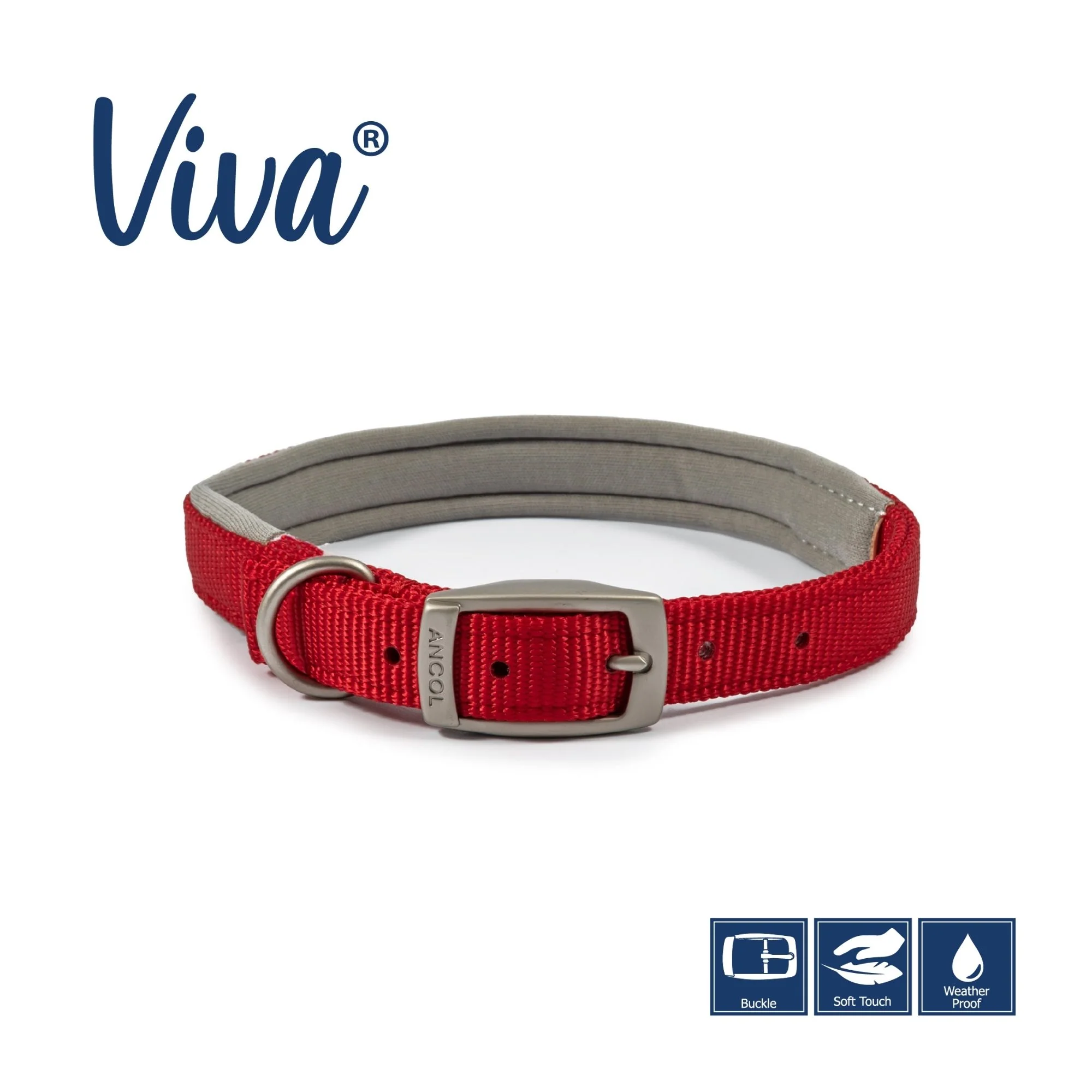 Ancol Viva Padded Buckle Dog Collar - Image 8