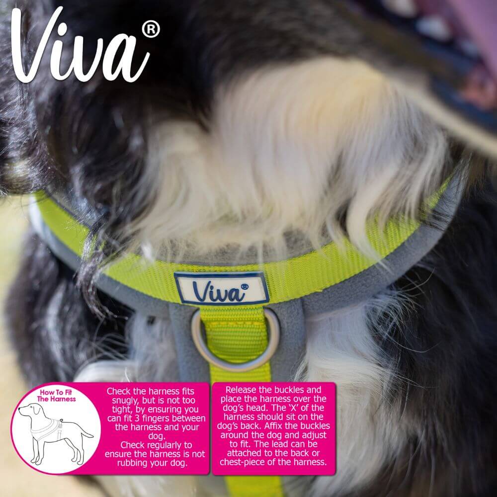 Ancol Viva Padded Dog Harness - Sizes Small to XXL - Image 4