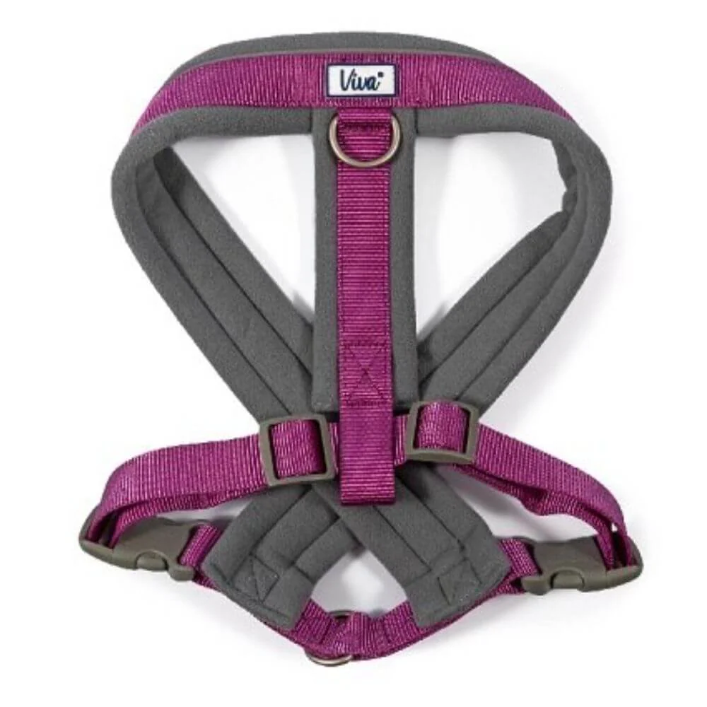 Ancol Viva Padded Dog Harness - Sizes Small to XXL - Image 9