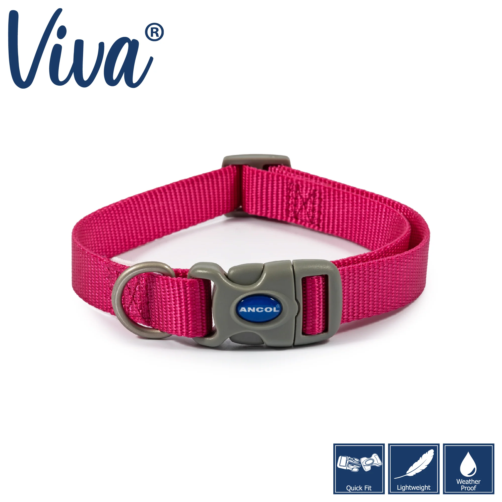 Ancol Viva Quick Fit Adjustable Dog Collar - Image 4