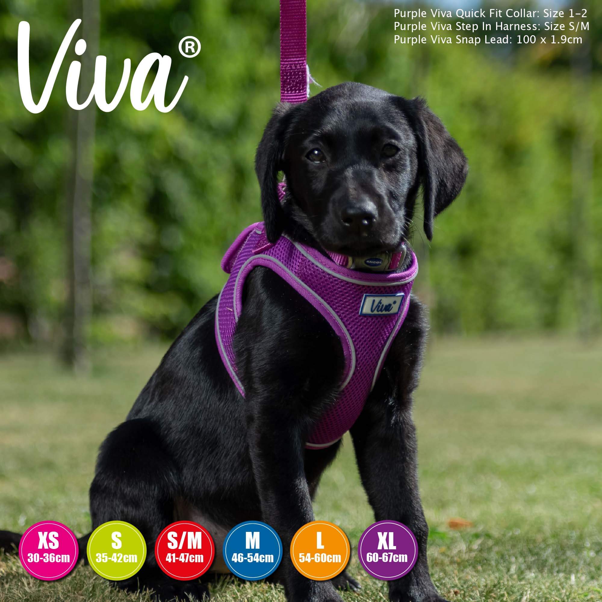 Ancol Viva Step In Comfort Fit Dog Harness - Image 12