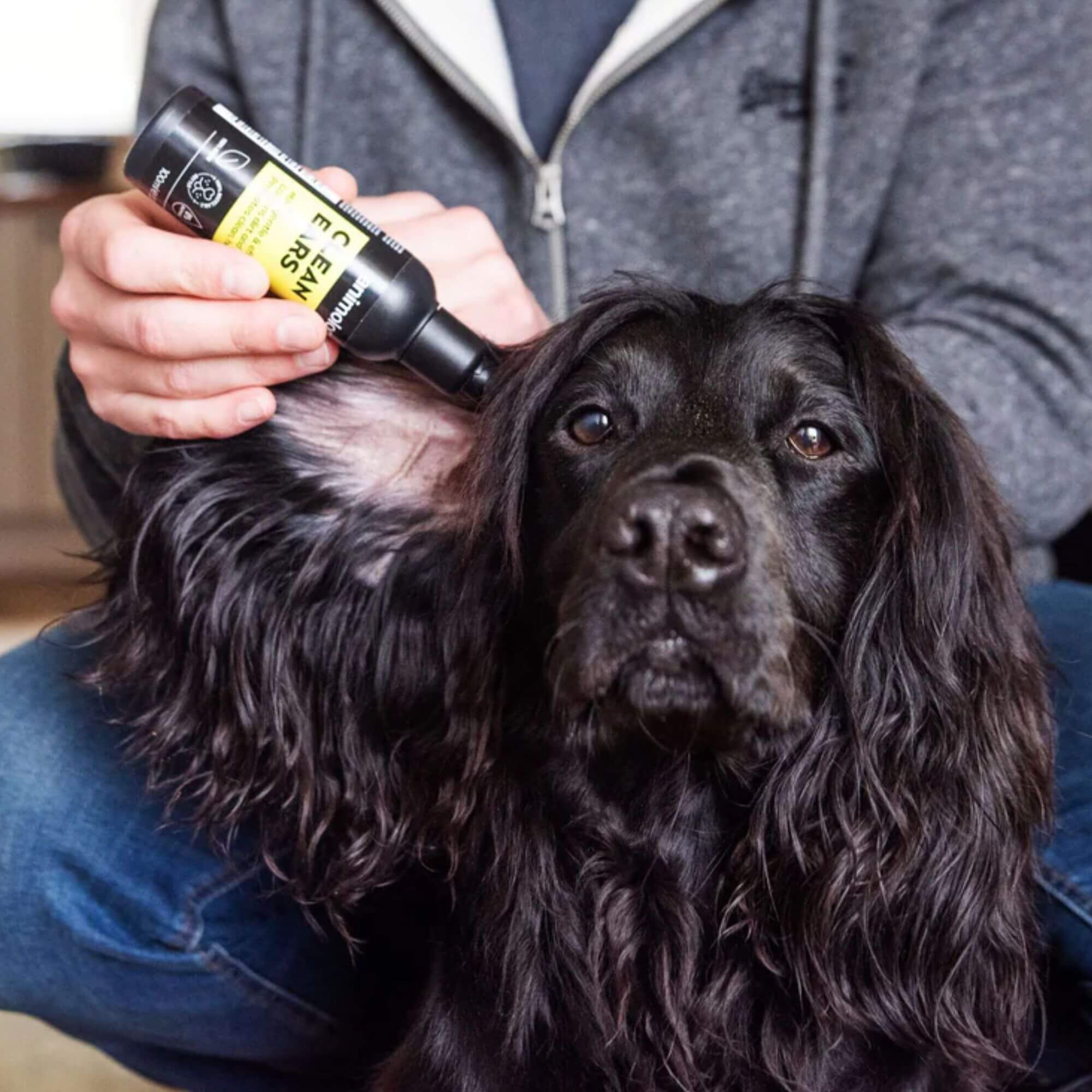 Animology Clean Ears for Dogs 6 x 100ml - Image 3