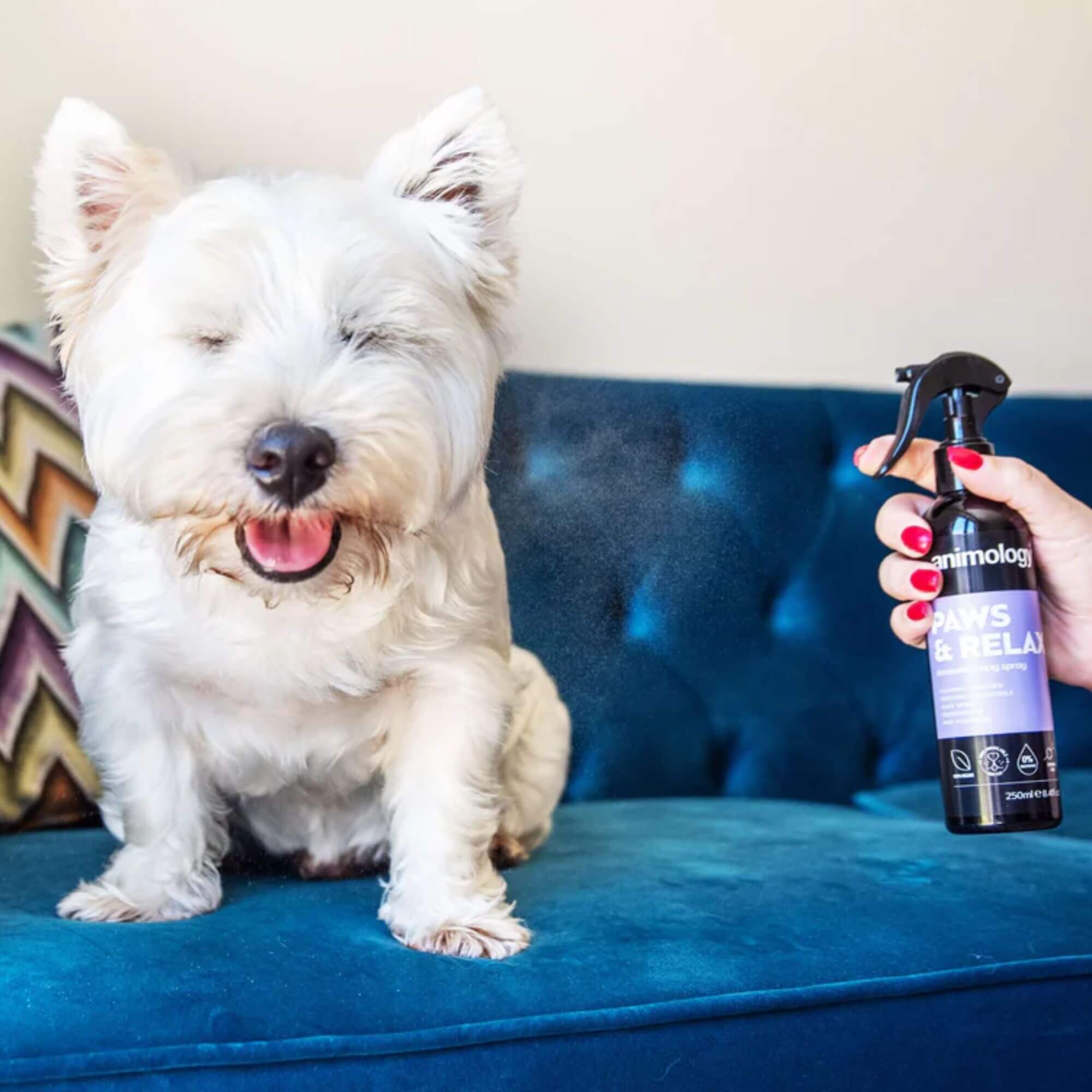 Animology Paws & Relax Aromatherapy Spray 6 x 250ml - Image 4
