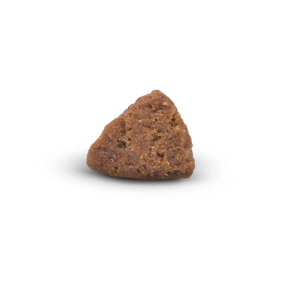 Arden Grange Puppy / Junior Dog Food with Fresh Chicken - Image 3