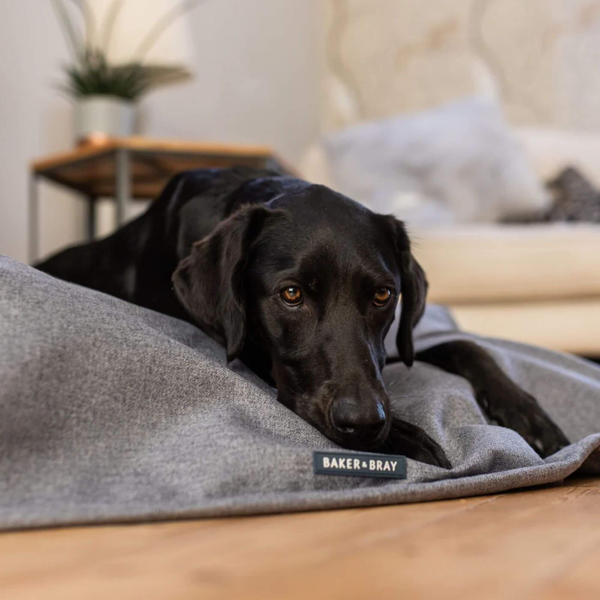 Baker & Bray Luxury Temperature Regulating Throw Dog Blanket - Image 3