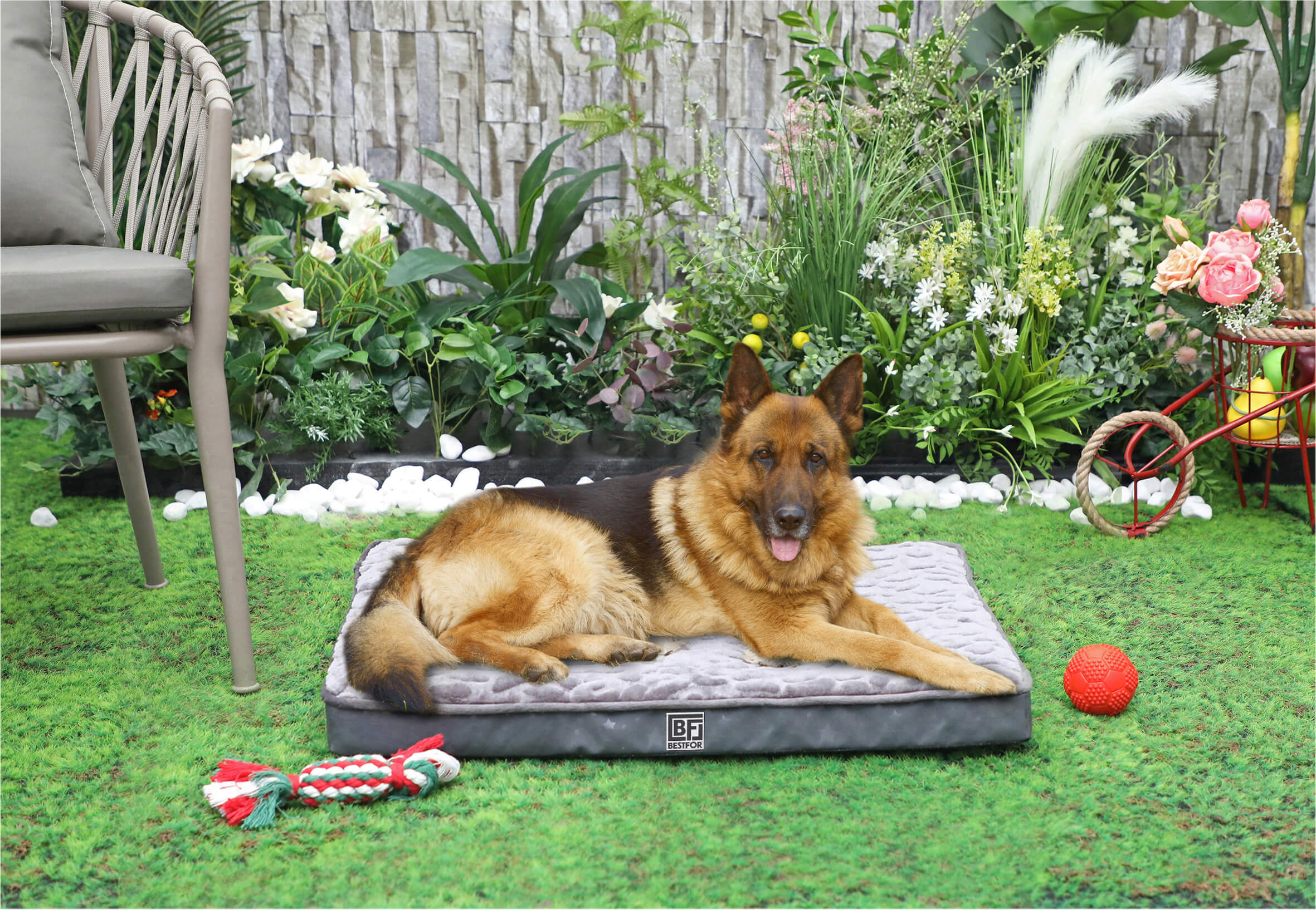 Bestfor Dog Bed with Charcoal Infused Eggcrate Memory Foam - Image 6