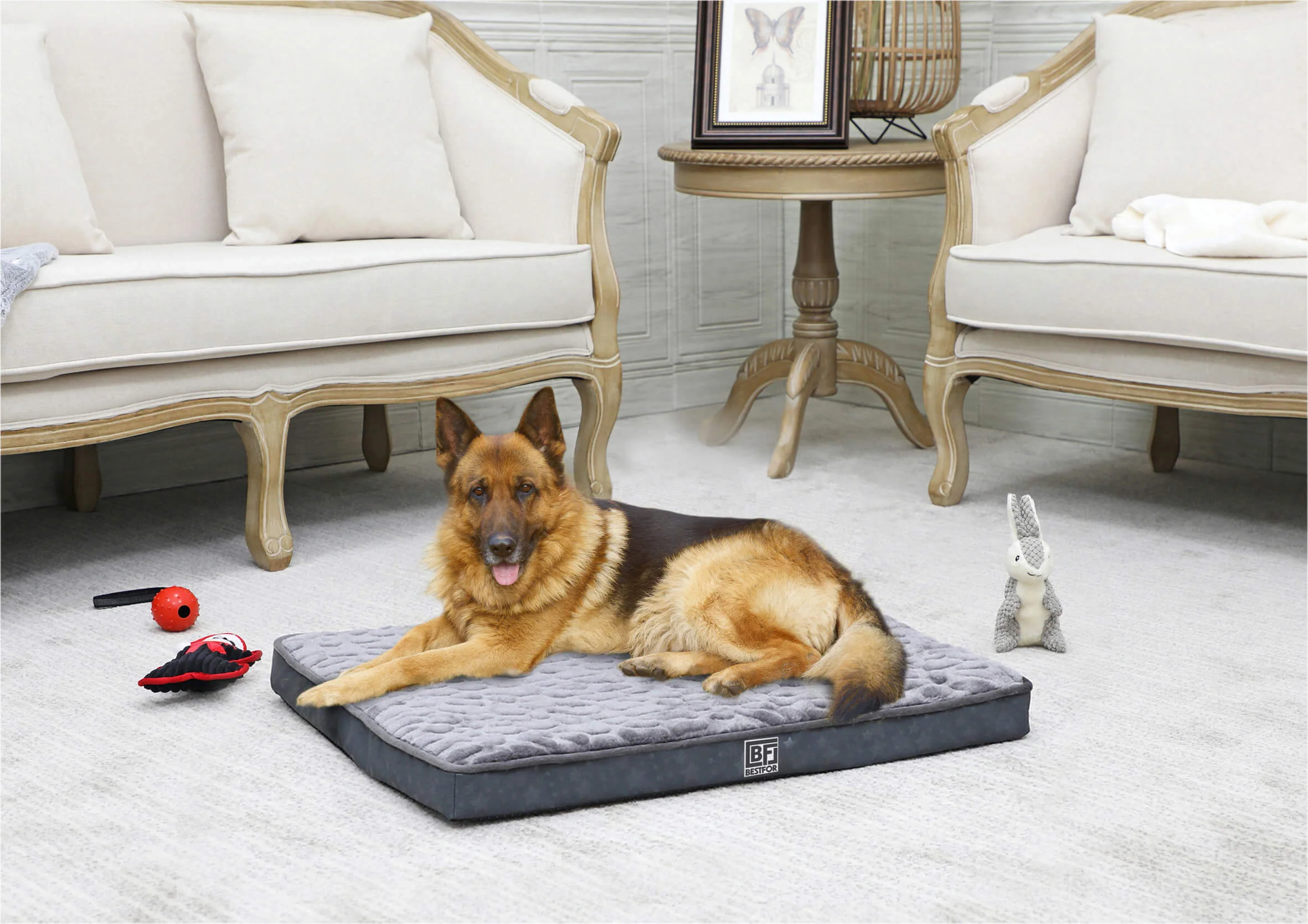 Bestfor Dog Bed with Charcoal Infused Eggcrate Memory Foam - Image 8