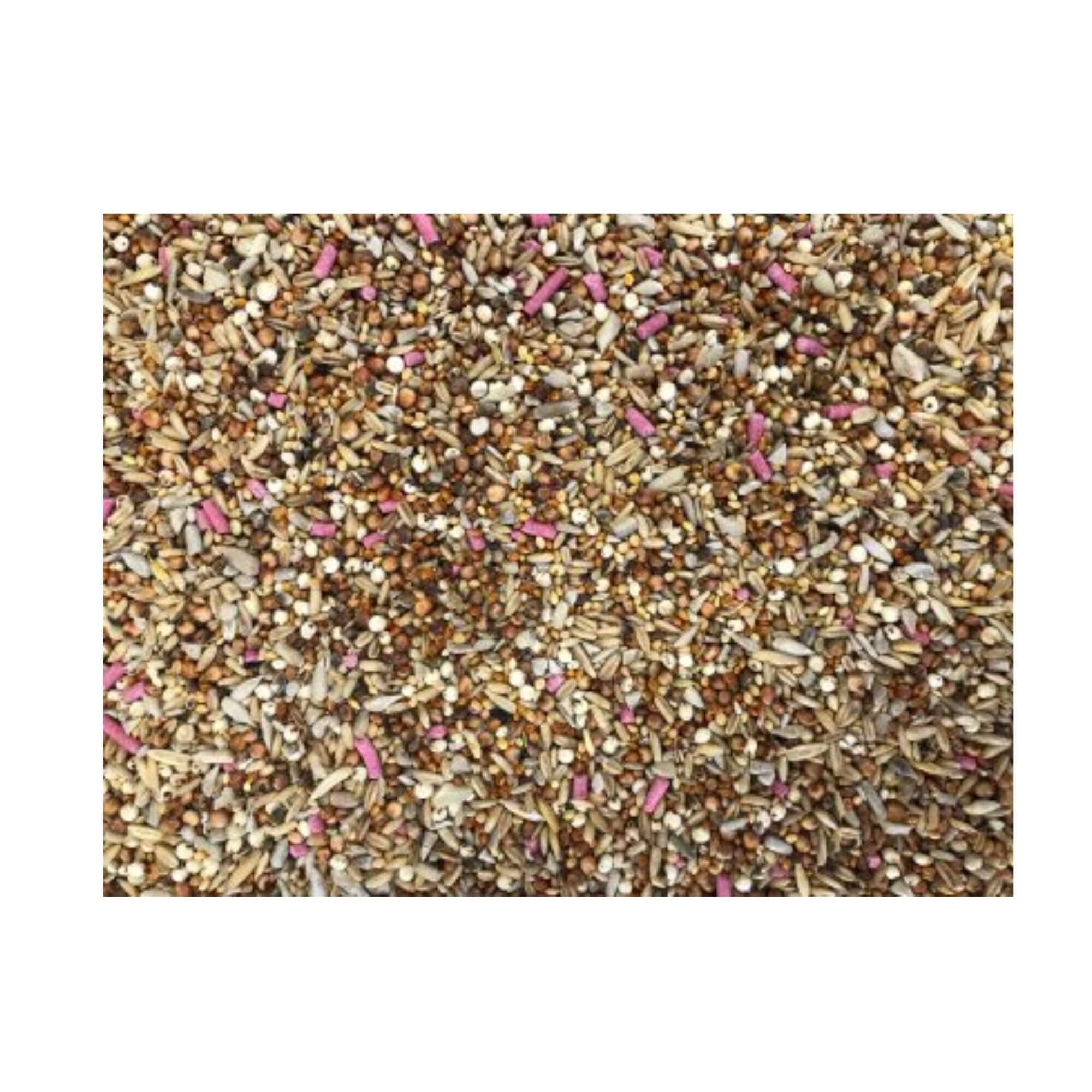 Bucktons Superior 12 Seed Blend Wild Bird 20kg - Image 2
