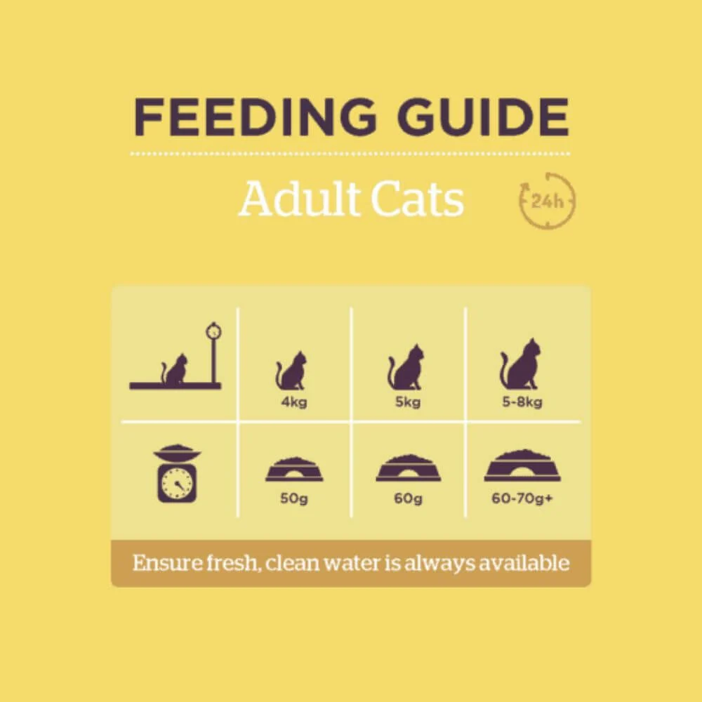 Burgess Chicken & Duck Adult Dry Cat Food - Image 3