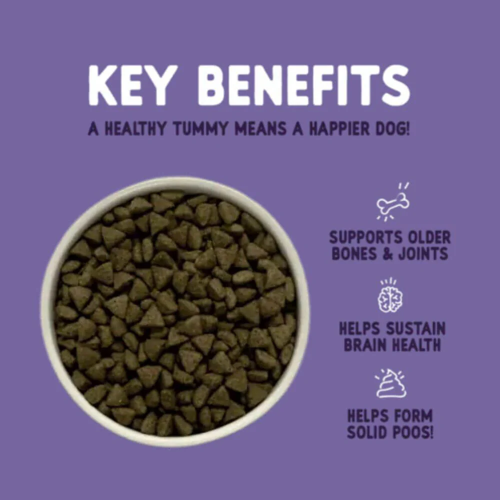 Burgess Sensitive Senior 7+ Dog Food with Turkey 12.5kg - Image 3