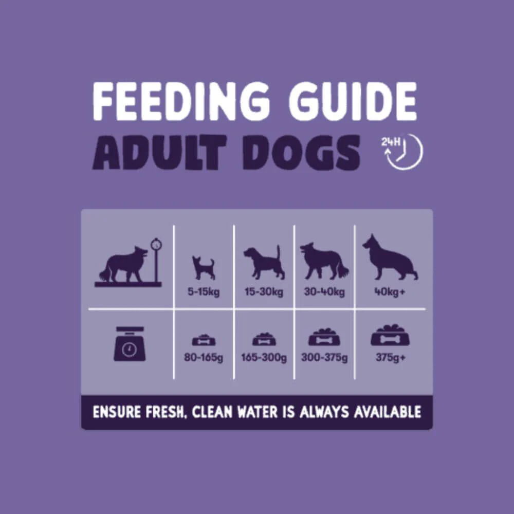 Burgess Sensitive Senior 7+ Dog Food with Turkey 12.5kg - Image 5