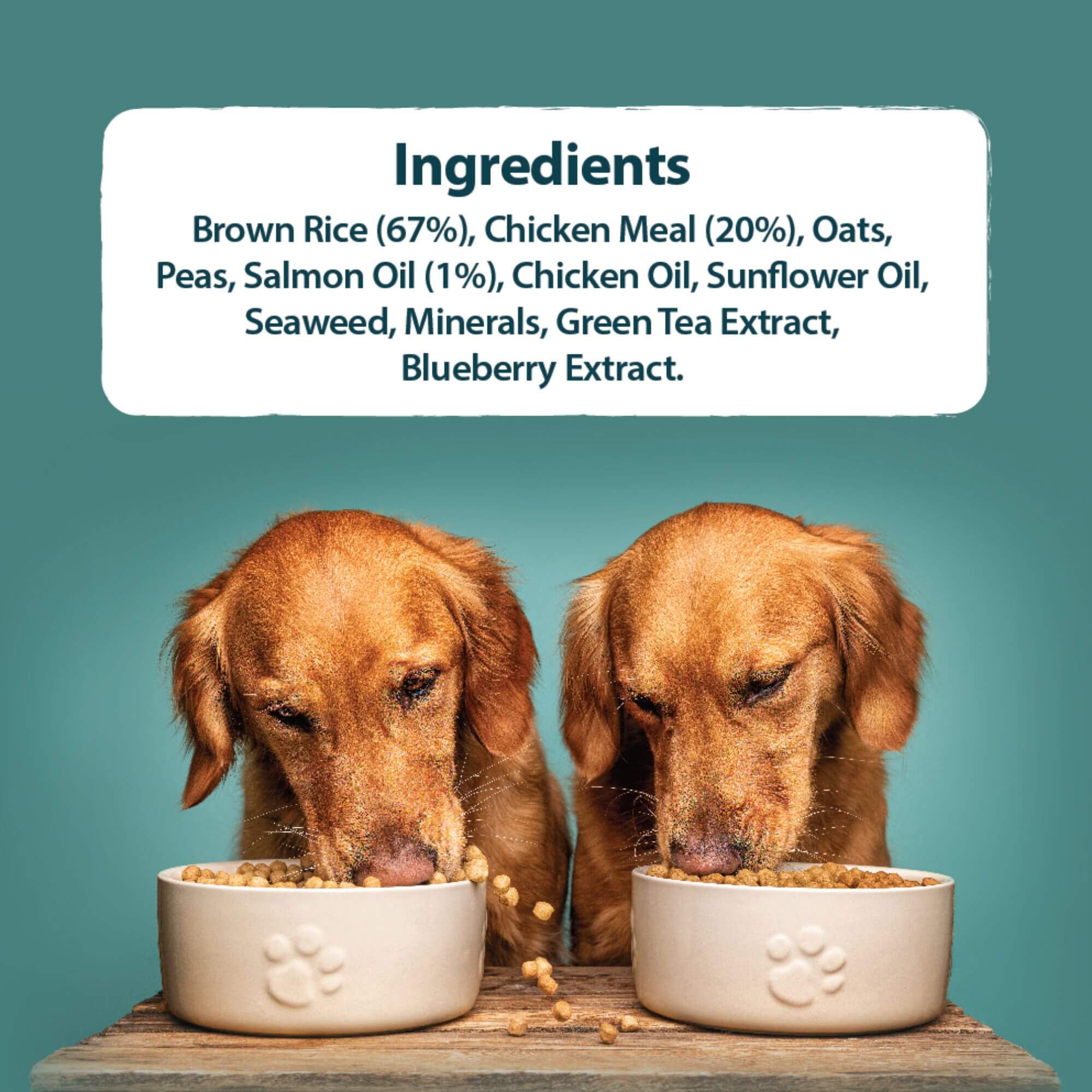Burns Alert Chicken & Brown Rice Dog Food - Image 4