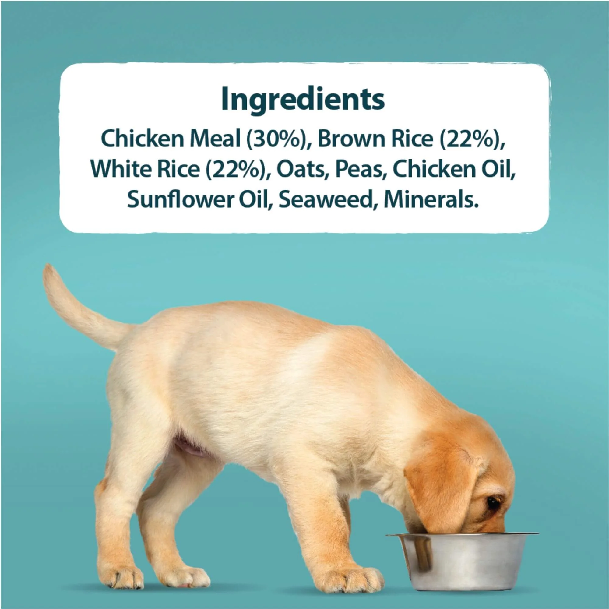 Burns Puppy Original Chicken & Rice 12kg - Image 3