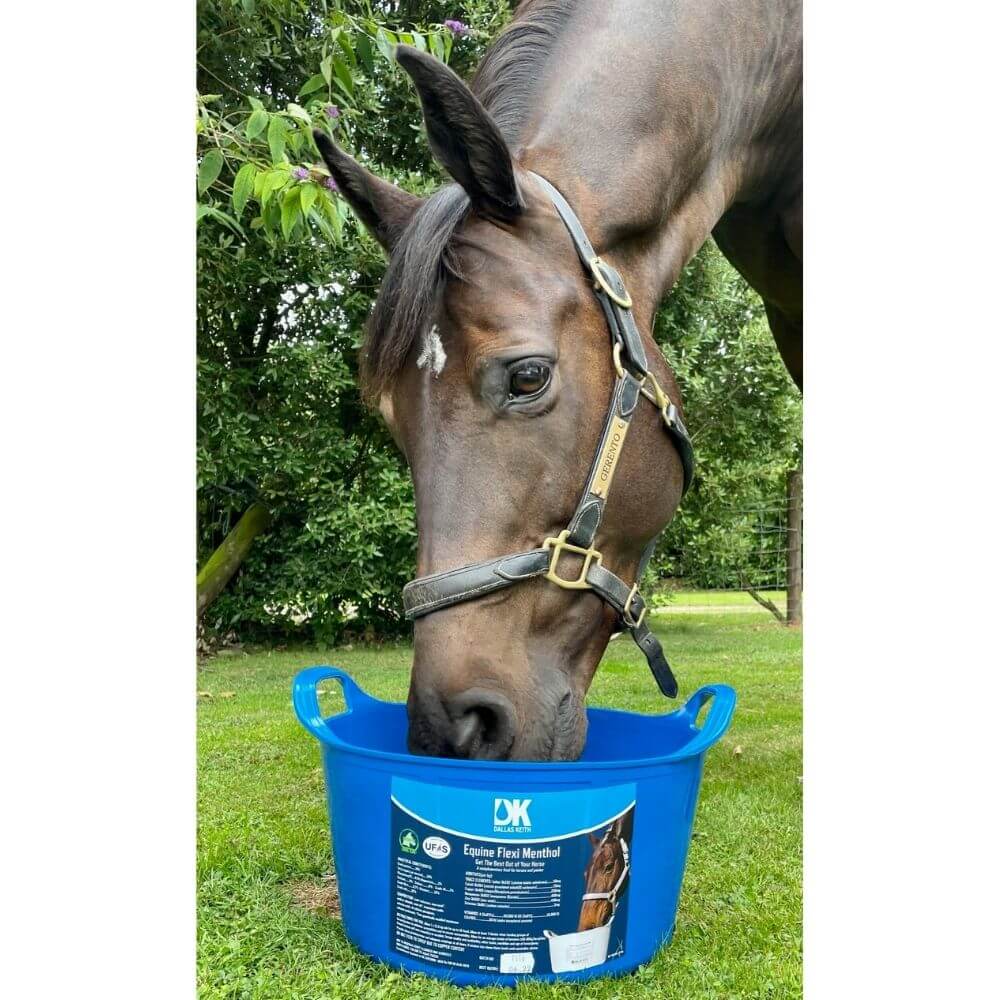 Dallas Keith Equine Flexi Menthol Horse Lick 12.5kg - Image 3