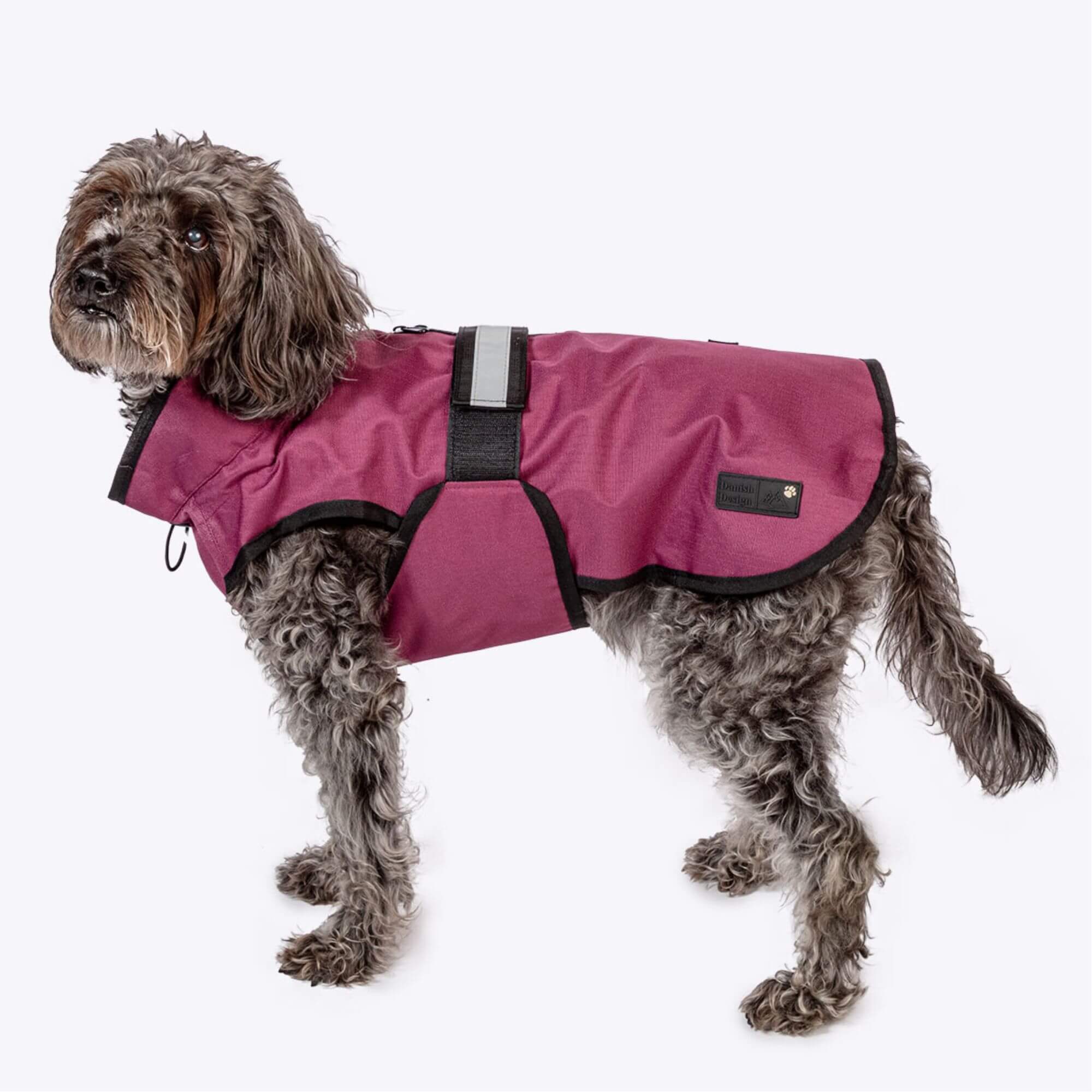 Danish Design 3-in-1 Waterproof Dog Coat - Image 5