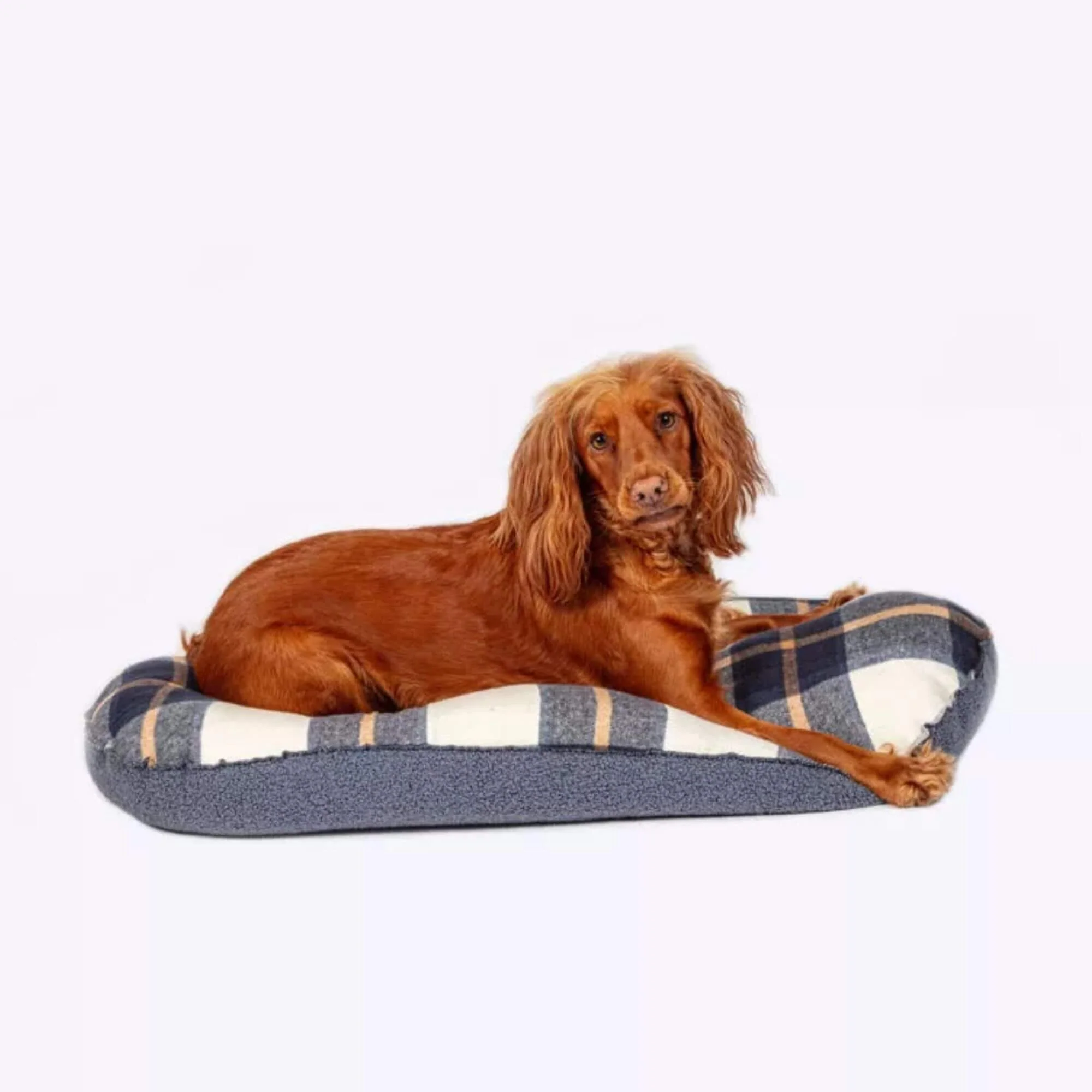 Danish Design Bowmore Quilted Mattress Dog Bed - Image 3