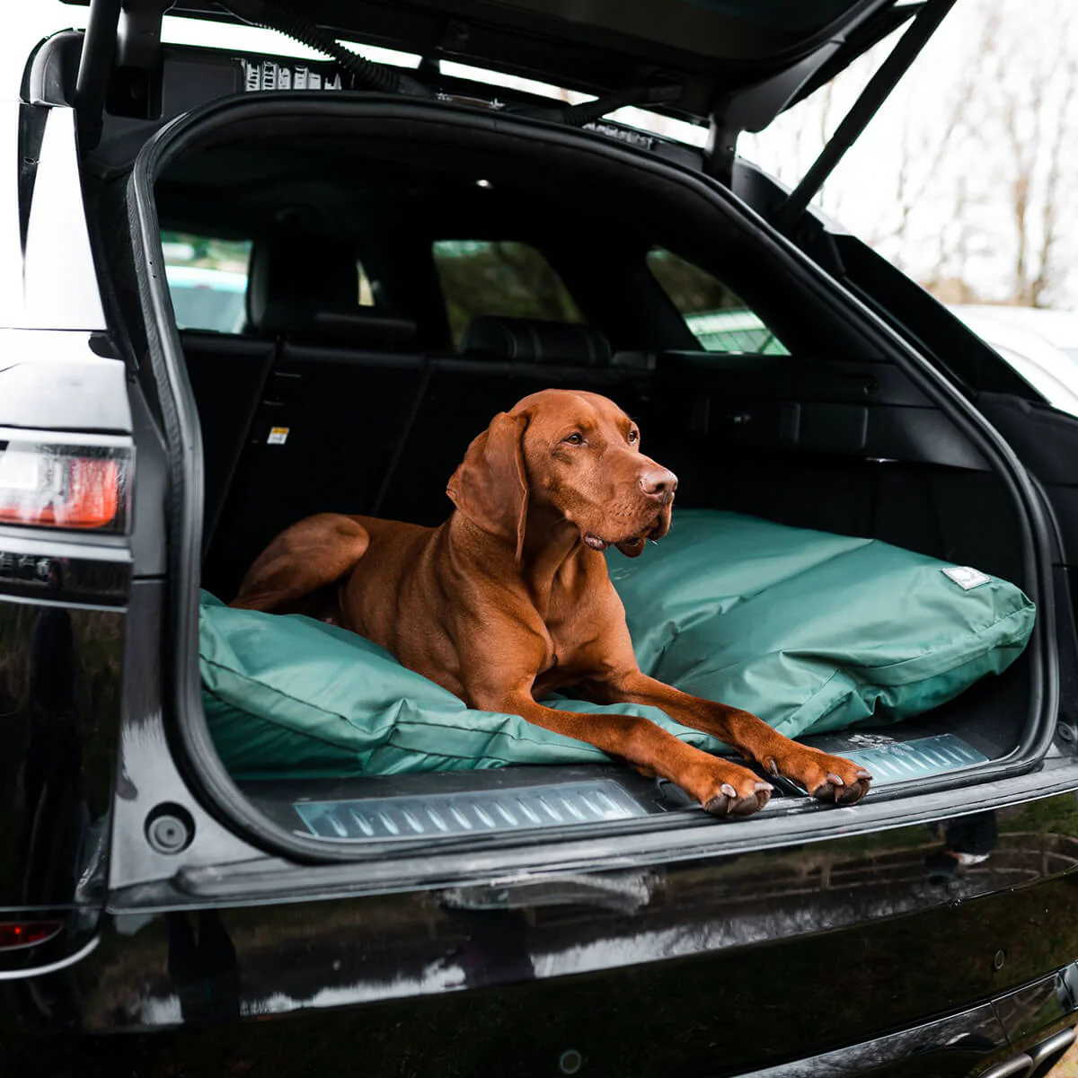 Danish Design County Deep Filled Duvet Dog Bed - Image 2