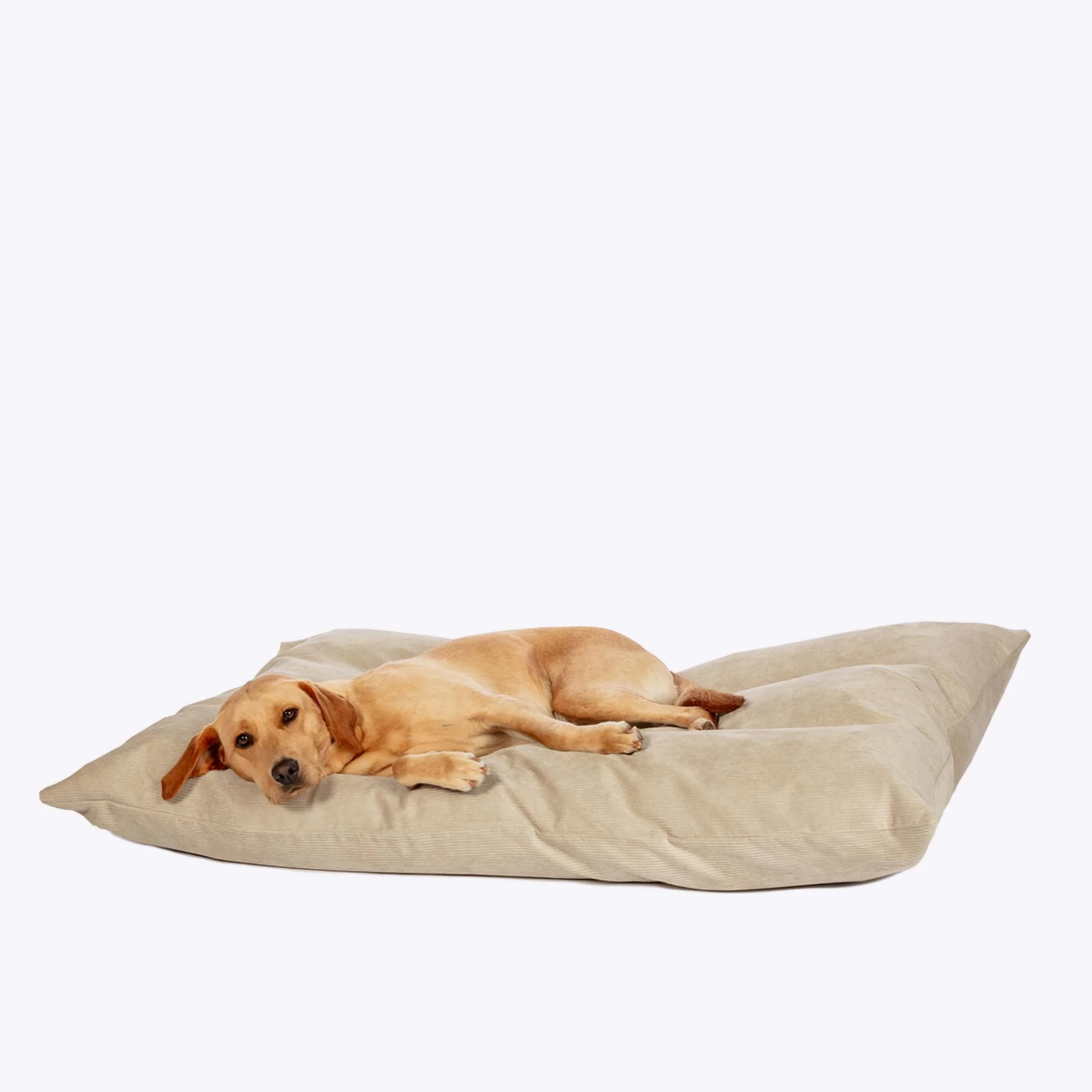 Danish Design Elden Deep Duvet Dog Bed - Image 2