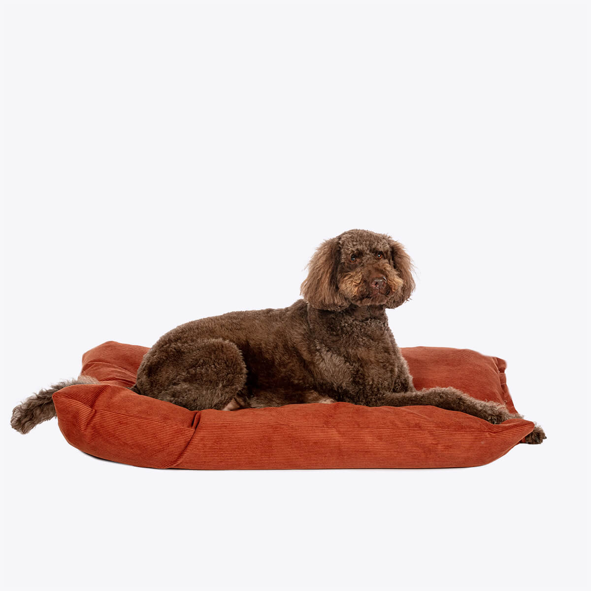 Danish Design Elden Deep Duvet Dog Bed - Image 3