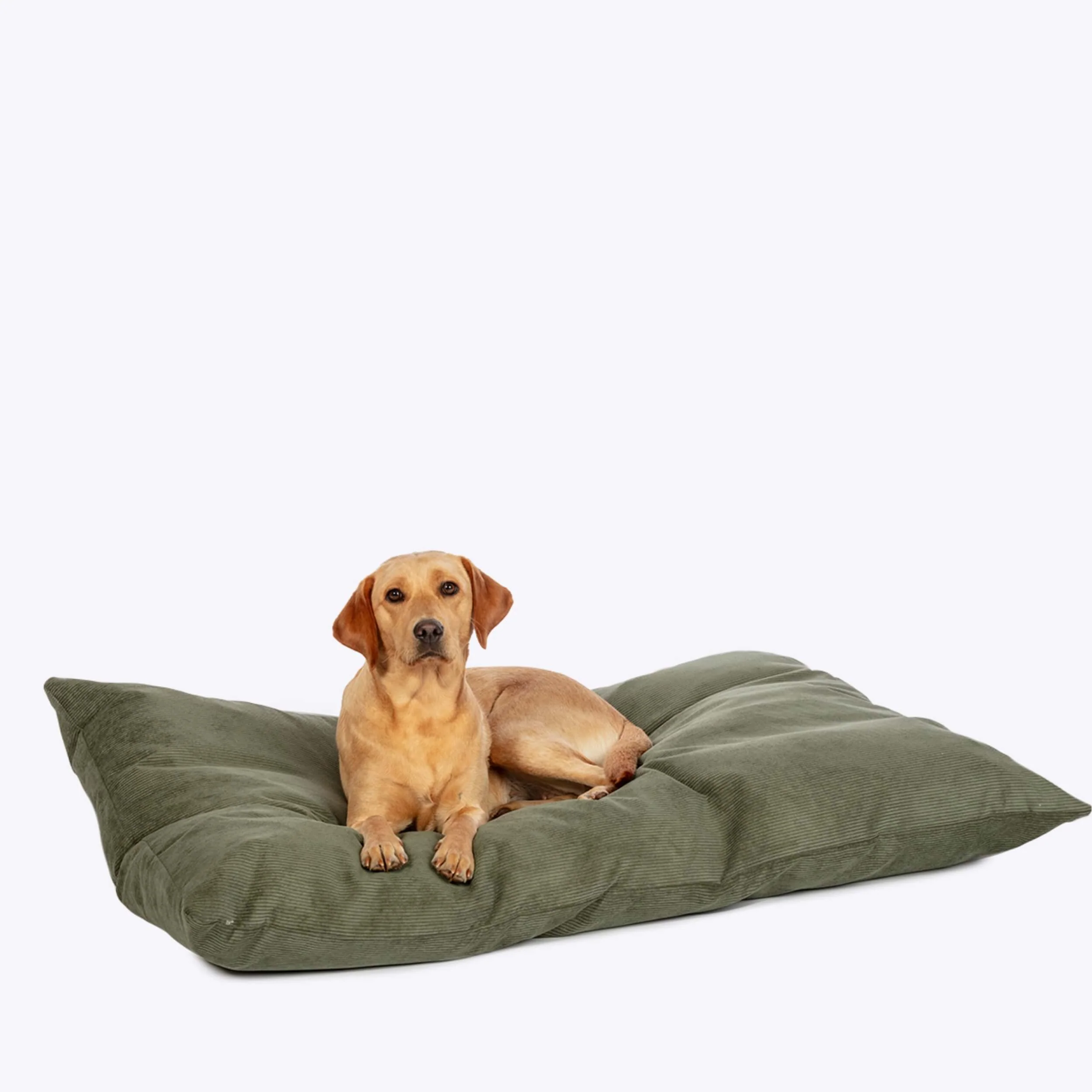 Danish Design Elden Deep Duvet Dog Bed - Image 4