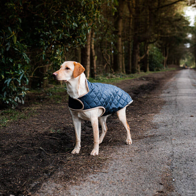 Danish Design Quilted Dog Coat - Image 7