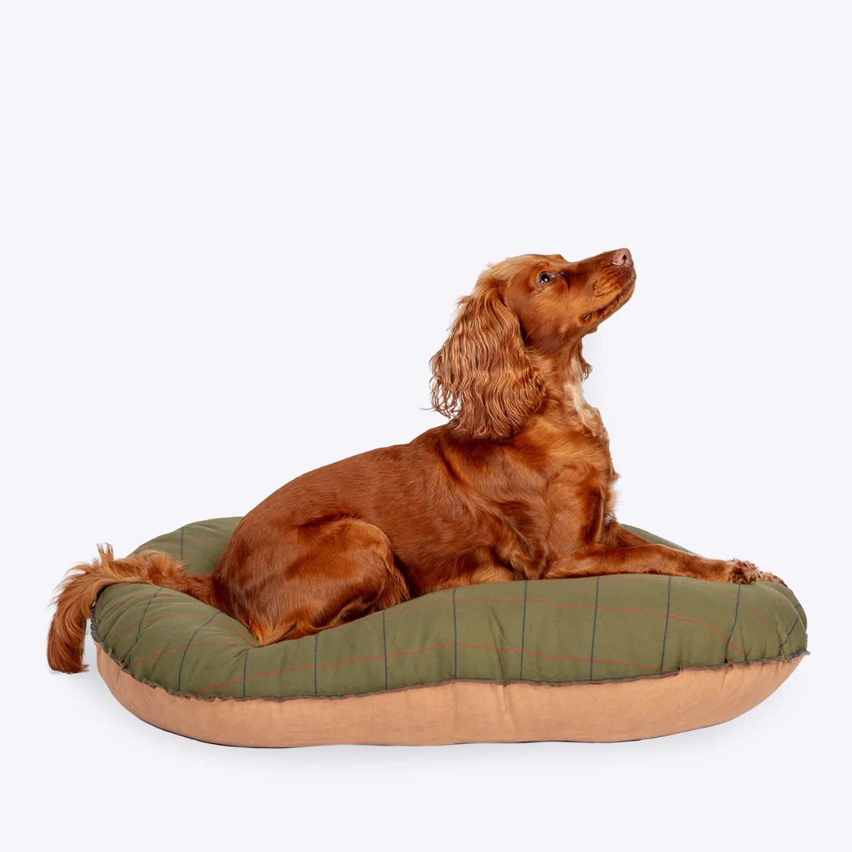 Danish Design Quilted Traditional Tweed Dog Mattress - Image 2