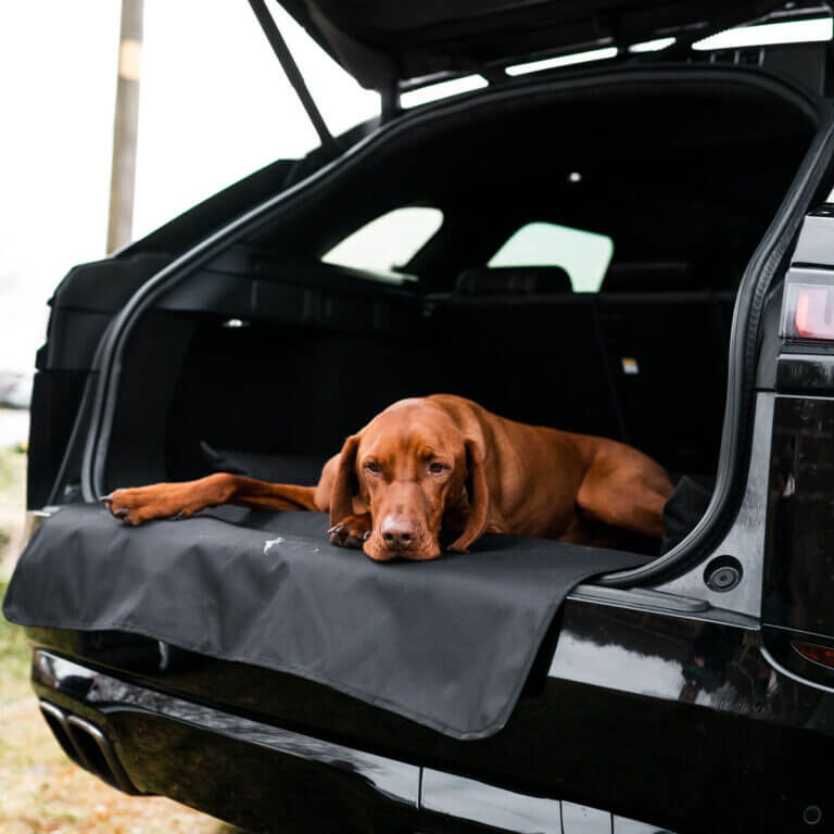 Danish Design Waterproof Dog Car Boot Bed - Image 8