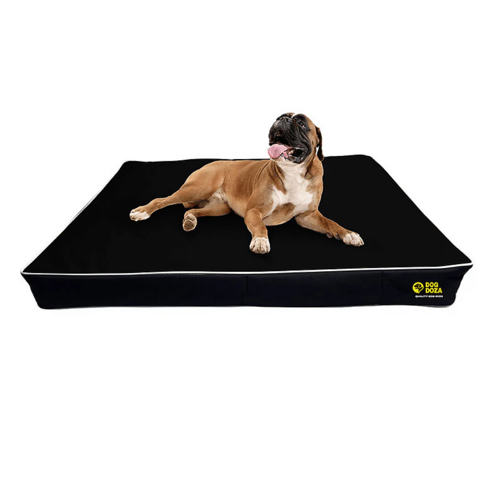 Dog Doza 5" Memory Foam Dog Mattress - Image 2