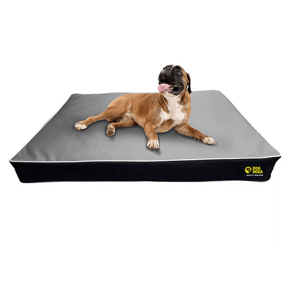 Dog Doza 5" Memory Foam Dog Mattress - Image 3