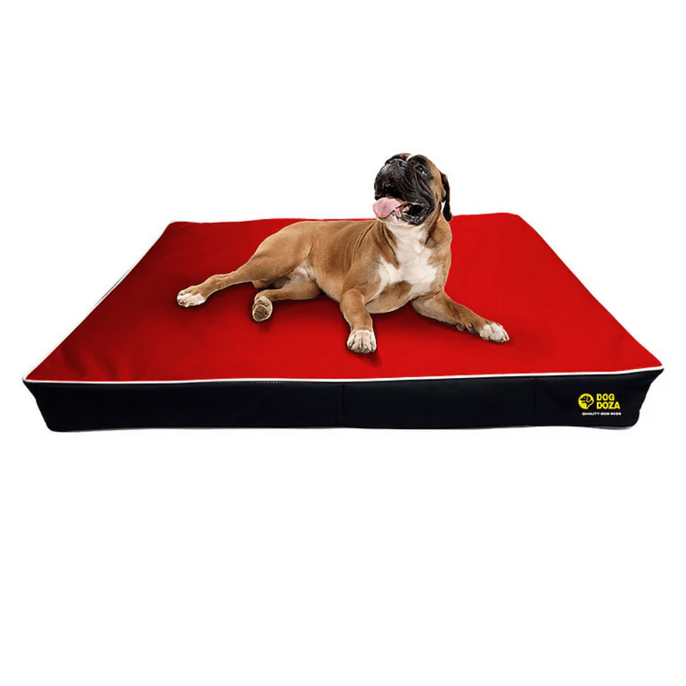 Dog Doza 5" Memory Foam Dog Mattress - Image 4