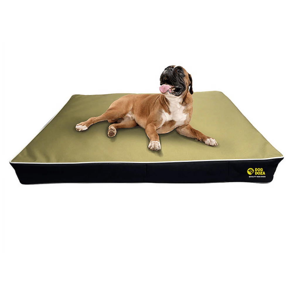 Dog Doza 5" Memory Foam Dog Mattress - Image 5