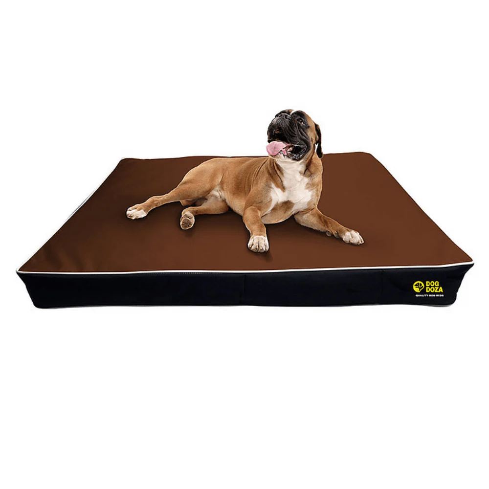 Dog Doza 5" Memory Foam Dog Mattress - Image 6