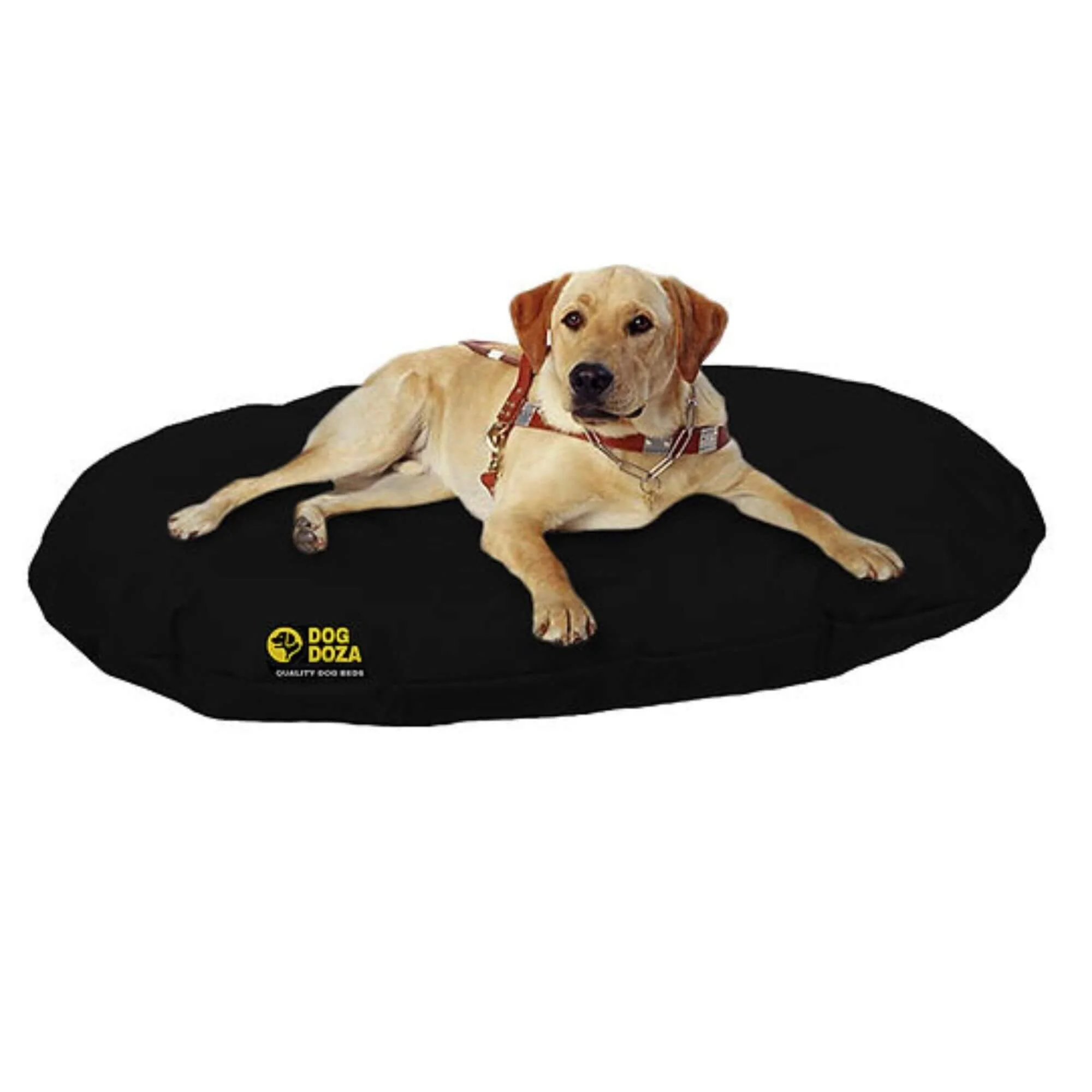 Dog Doza Waterproof Oval Memory Foam Crumb Cushion Bed - Image 6