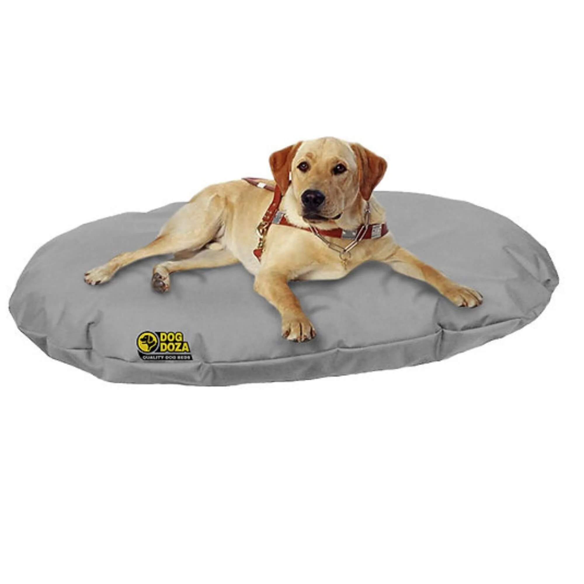 Dog Doza Waterproof Oval Memory Foam Crumb Cushion Bed - Image 7