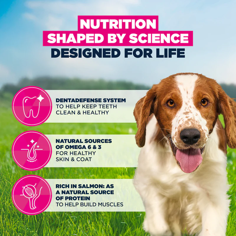 Eukanuba Small & Medium Adult Dry Dog Food Salmon & Barley 12kg - Image 2