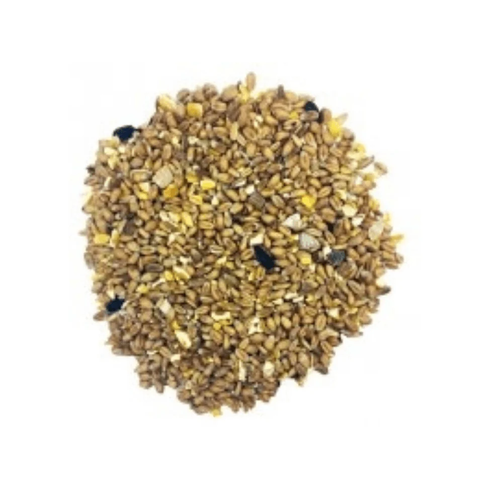 Fancy Feeds Supreme Mixed Corn Poultry Treat / Scratch - Image 2