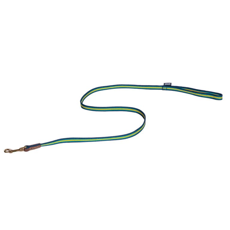 FatFace Bold Stripe Dog Collar & Lead Set - Image 6