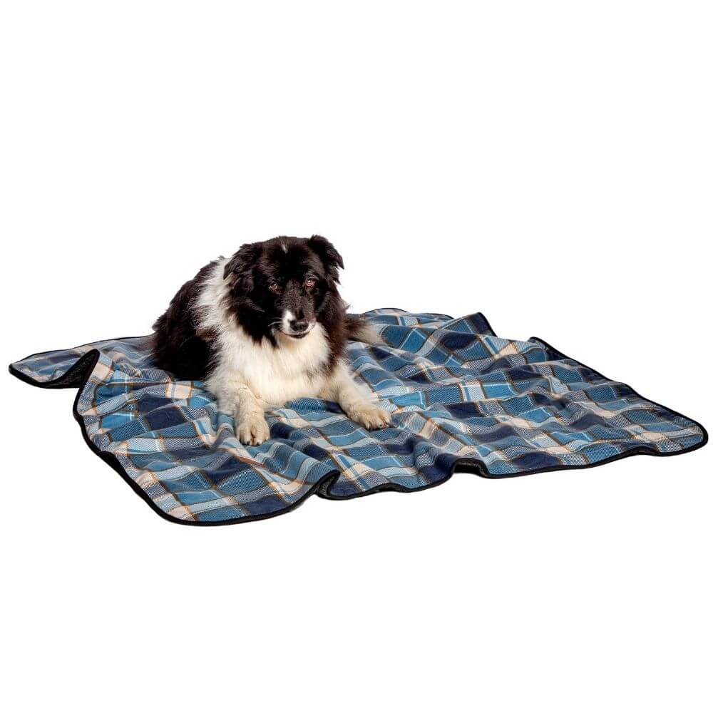 FatFace Fleece Check Pet Blanket - Image 4